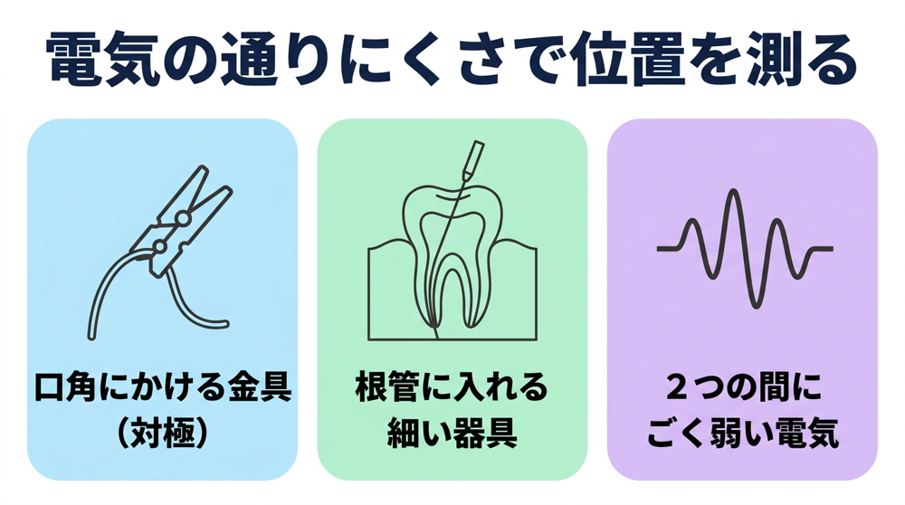 なぜ音が鳴るのか｜歯の中の「電気の通りにくさ」を測っている