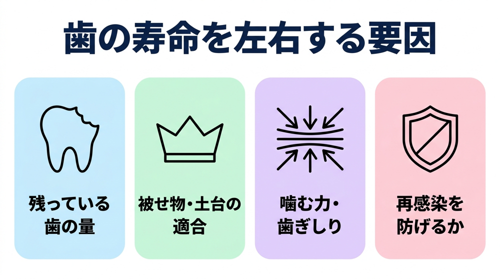 歯の寿命は根管治療の質だけでなく被せ物の質でも決まる
