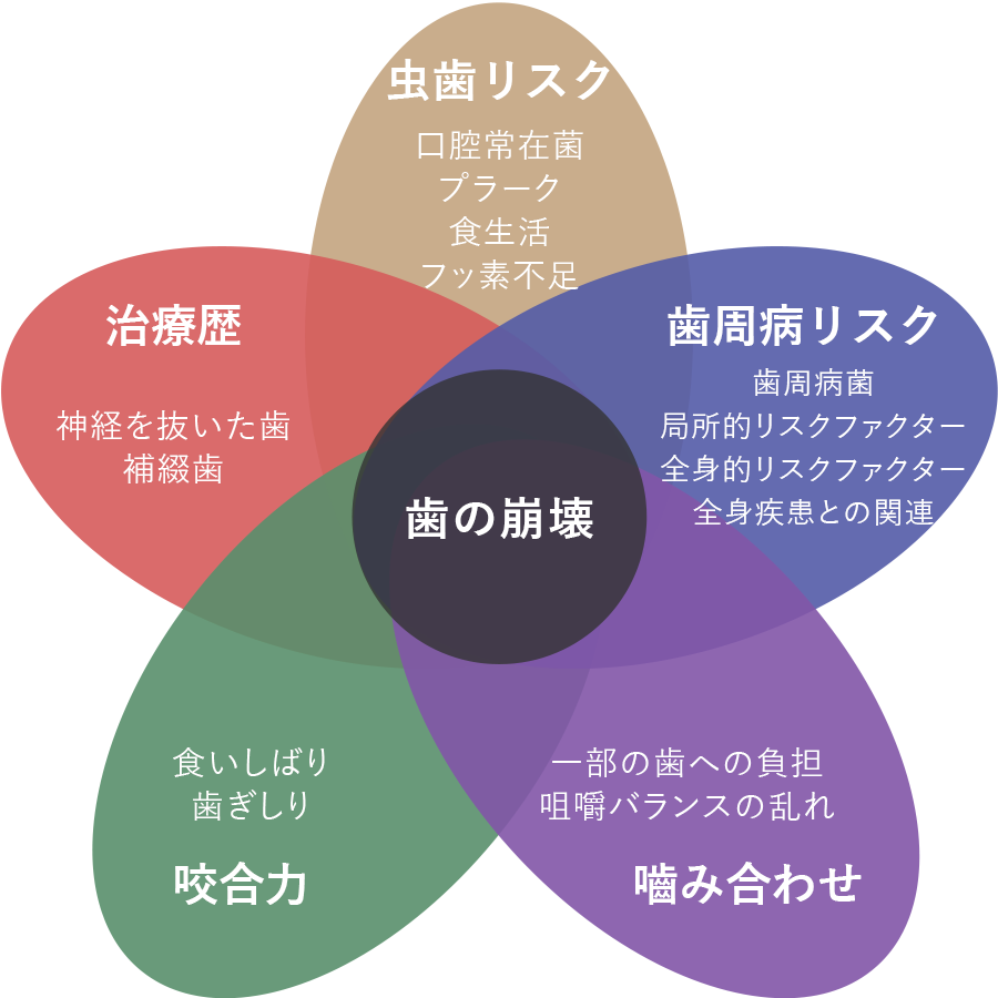 歯の崩壊因子に関するベン図
